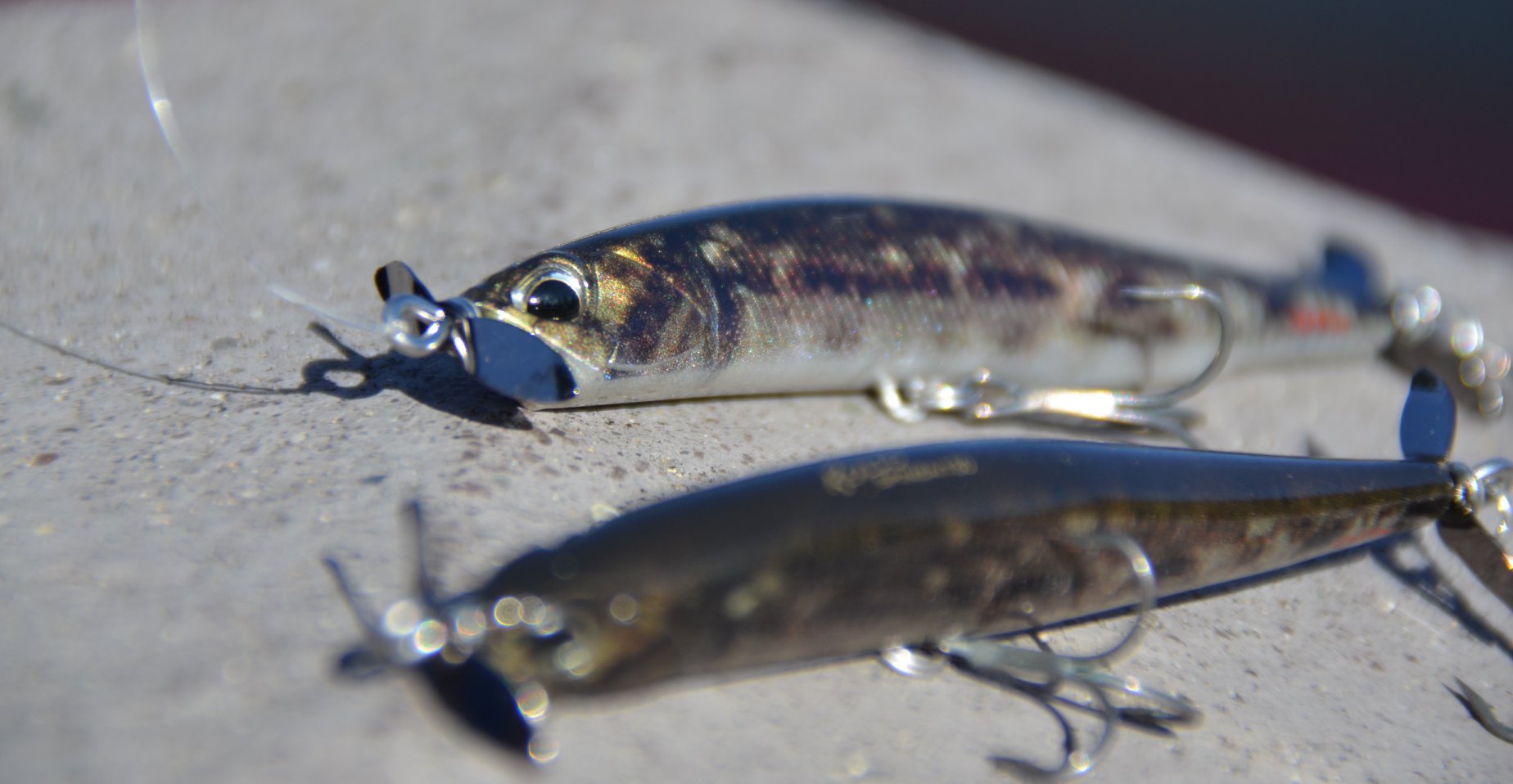The spybait technique is an overlooked, but productive, option for March  fishing, Lifestyles