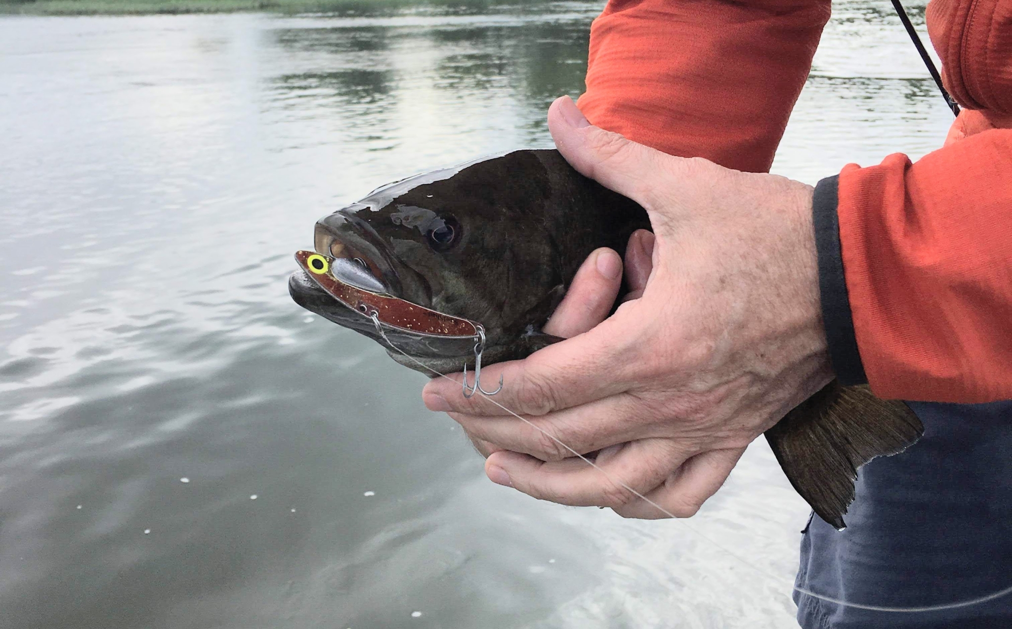The Erratic Action Of This Blade Bait Drives Smallmouth Wild