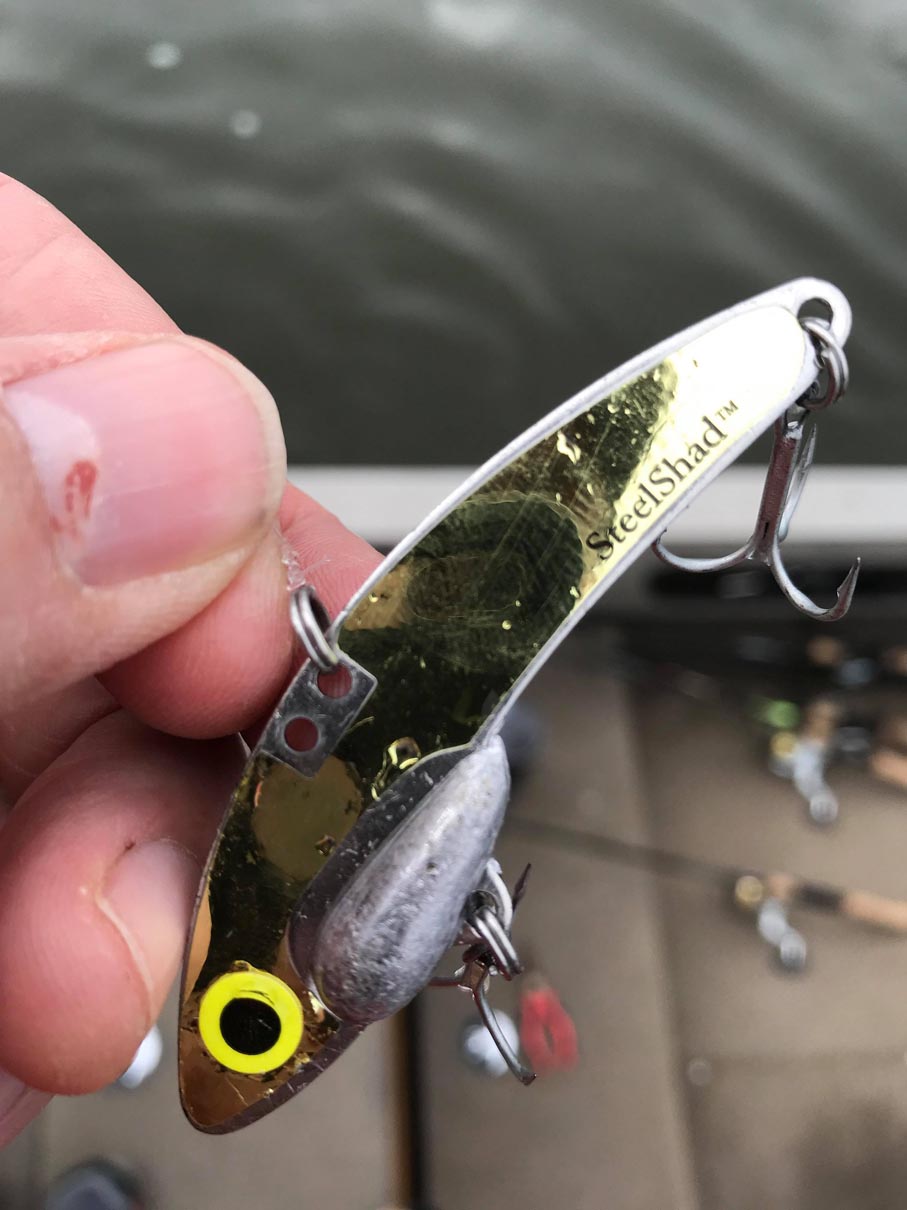 The Erratic Action Of This Blade Bait Drives Smallmouth Wild