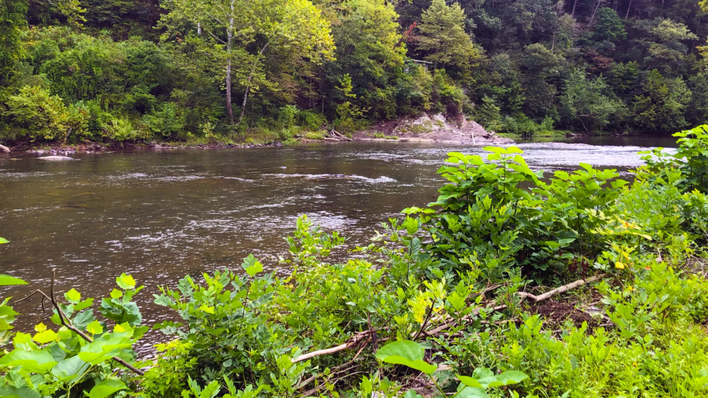 Adjust to Water Clarity to Catch Smallmouth Bass