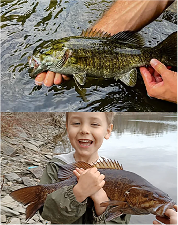everything smallmouth catch and release photos