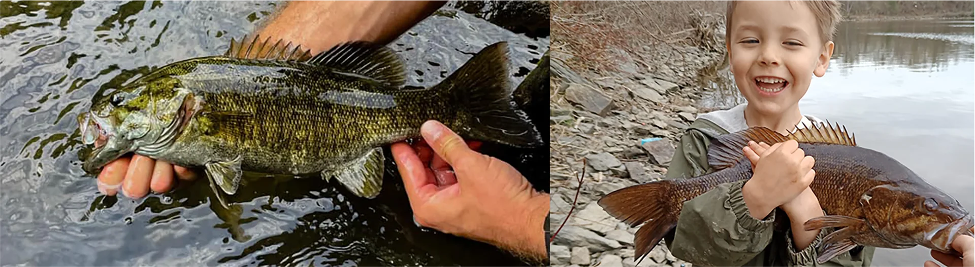 everything smallmouth catch and release photos
