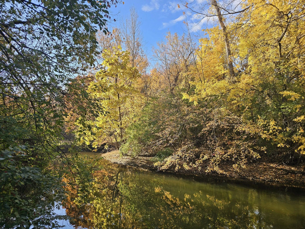 how cooler water dissolved oxygen levels and seasonal transitions influence smallmouth behavior