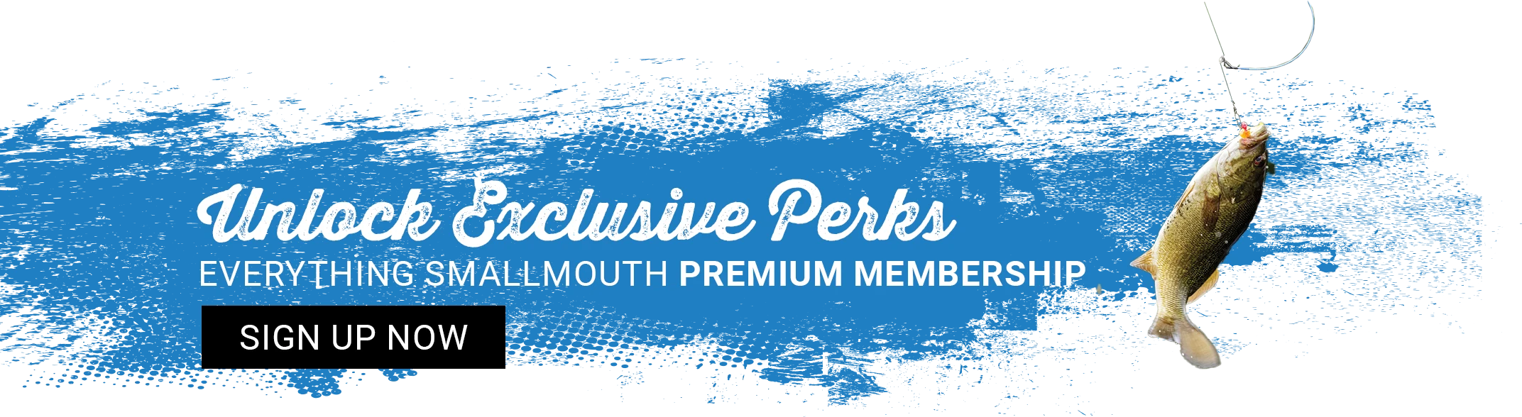 Sign Up Now! For Everything Smallmouth Premium